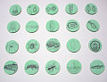 NECCO SIERRANEVADAGREEN 1-05 COPY COPY